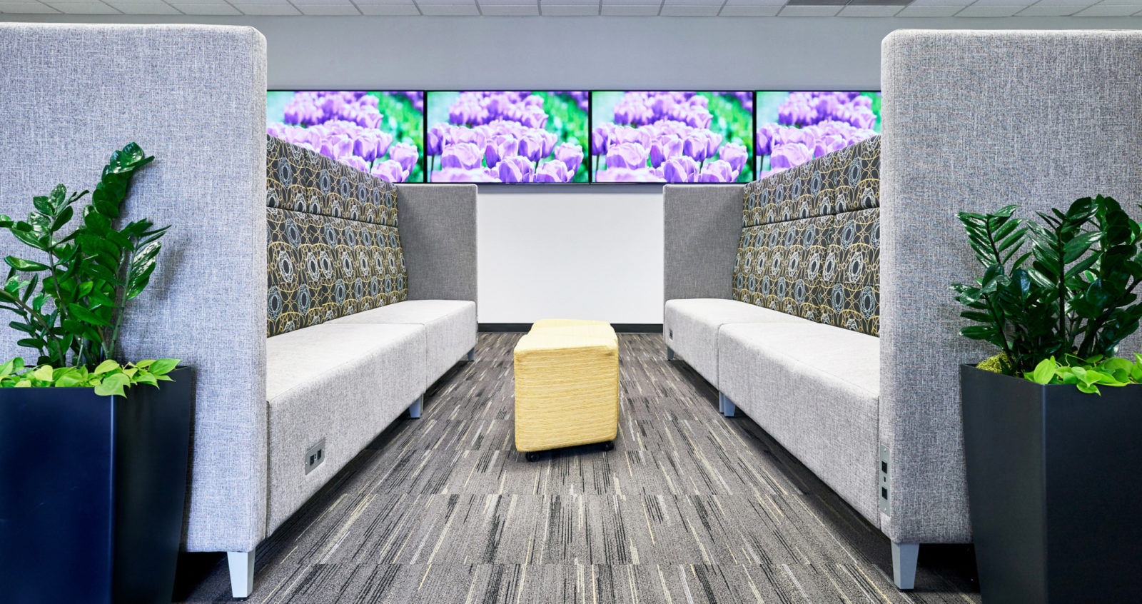 Century 21 C. Watson Facility Designs